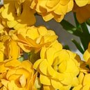 추억의팝송(야간) 이미지