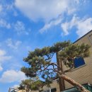 청계 여성전용 불한증막 이미지