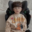 능동점 현대자동차 | 토들러 주니어카시트 사용시기 폴레드 볼픽스 I-SIZE