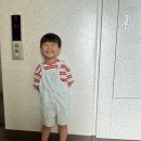 킨더드림어린이집 | 250901 이번주 등원기록 이모저모