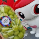 오산-청학-청학-6 이미지