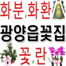광양시치매안심센터 | ◆광양읍꽃집 아울렛!◈광양읍화원'개업화분 화환 꽃다발'광양읍꽃배달꽃가게