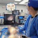 24시 핸즈동물의료센터 이미지