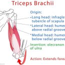 33피트니스 이미지
