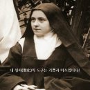 기쁨미소 Daum카페