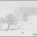 돌풍목장 이미지