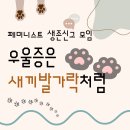 찾아가는 경제진로보드게임 | [모집] 모임 기다리다 모임 만드는 사람들이 만든 모임 참여하실 분?