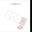 경동로(용상동) 이미지