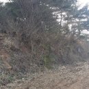 도천 보건진료소 이미지