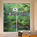 애월다방망설임바 | 제주 서쪽 카페 추천 애월 숲뷰 블랙이쉬레드 비오는날 카페