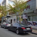 죽림2로가로수 이미지