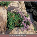 공주미장원 - 구미시 구미중앙로45길 22 | 공주미장원