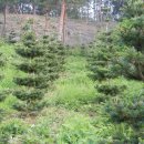 덕솔이네 이미지