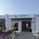 청하사랑작은목욕탕 | 🌿진주 초전동 대형 애견동반카페 힐브리즈 후기🐾 펫마트·천연잔디 운동장·반려견 목욕탕까지 완벽한...