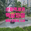 자이두꺼비공인중개사사무소 | [선릉역아파트 역삼자이 매매 전세 월세]청실두꺼비추천매물, 2025년10월 첫째 주 시세