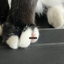 팜앤팜동물병원 | 용인 코스트팜 / 반려동물 의약품까지 다양한 창고형 대형약국 🐈💊