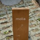 연희동 자치회관 | 유튜버 온도님이 운영하시는 연희동 카페 몰리아 내돈내산 후기