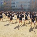 새롬 이미지