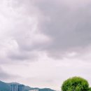 낙동강변 이미지