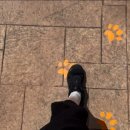 (주)월드뷰 이미지