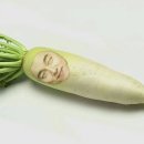 베스트웨스턴 해운대호텔 이미지