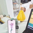 세이프컴퍼니 | 데스크테리어 피넛컴퍼니 맥세이프 무선충전기 후기