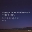 다심