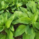 소백산식당 이미지