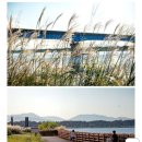 하단시장 이미지