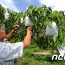 북진농장 이미지