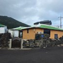 애플마루펜션 | 제주 동쪽 감성 숙소 '서월화', 자쿠지와 영화가 있는 낭만적인 구옥 스테이(달의꽃 1박 후기)