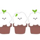 카페슬로울리