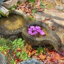 화왕산성동편(허준세트장) | 화왕산 등산코스 | 암릉부터 화왕산성 억새·진달래 군락지까지, 소요시간·난이도·주차 정보