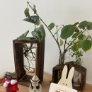 화,목 굿모닝 요가 | 평촌역 요가 | 숨부터 천천히, 입문 성공! 지도자교육도 가능한 요가바름 2회차 솔직 후기