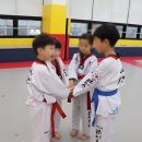 효천태권도장 이미지