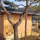 편백찜질방 이미지