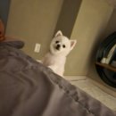 안단테펜션 이미지