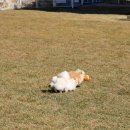 멍스테이션 이미지