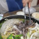 대동명품한우 | 251004-251010 / 컨셉 : 목적지 없이 떠나는 여행