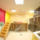 4u동물호텔 이미지