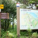 동작충효길 2코스 현충원길 | 동작충효길 2코스 (현충원길)
