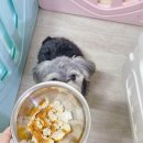 오구오구치킨