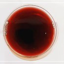 [와인] 이탈리아 와인 톨라이니 알파쏘 토스카나 아이지티, 마트 이탈리아 와인 추천