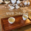 일화오엽 이미지