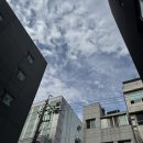 더벤티 성수아이에스점 | 제천부터 경주까지 (8월의 데이트)