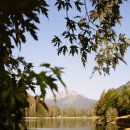 종로하루 이미지