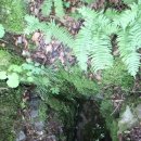 장흥마을회관 이미지