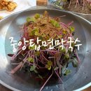 중앙탑면막국수 | 충주 중앙탑면막국수 솔직후기 | 충주맨이 간 곳