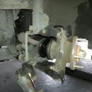 대우카포스 이미지