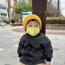 디자인경영컨설팅